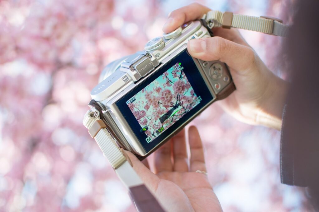 写真撮影している画像（被写体：桜）
